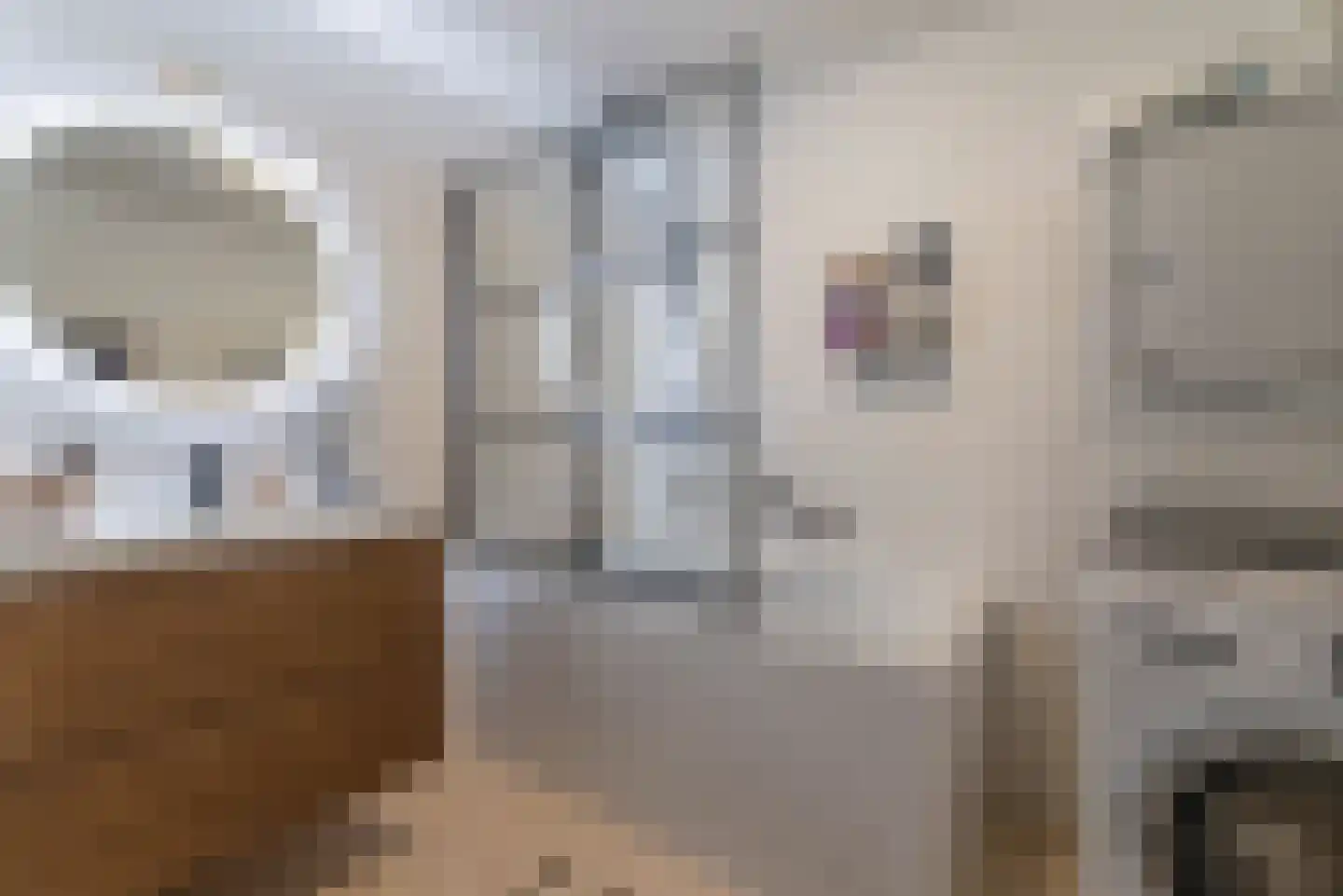 Ereprijs 2 Veenendaal thumbnail 33