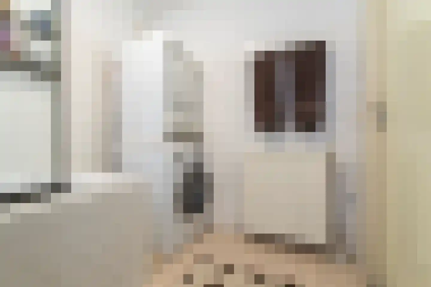 Ereprijs 2 Veenendaal thumbnail 38