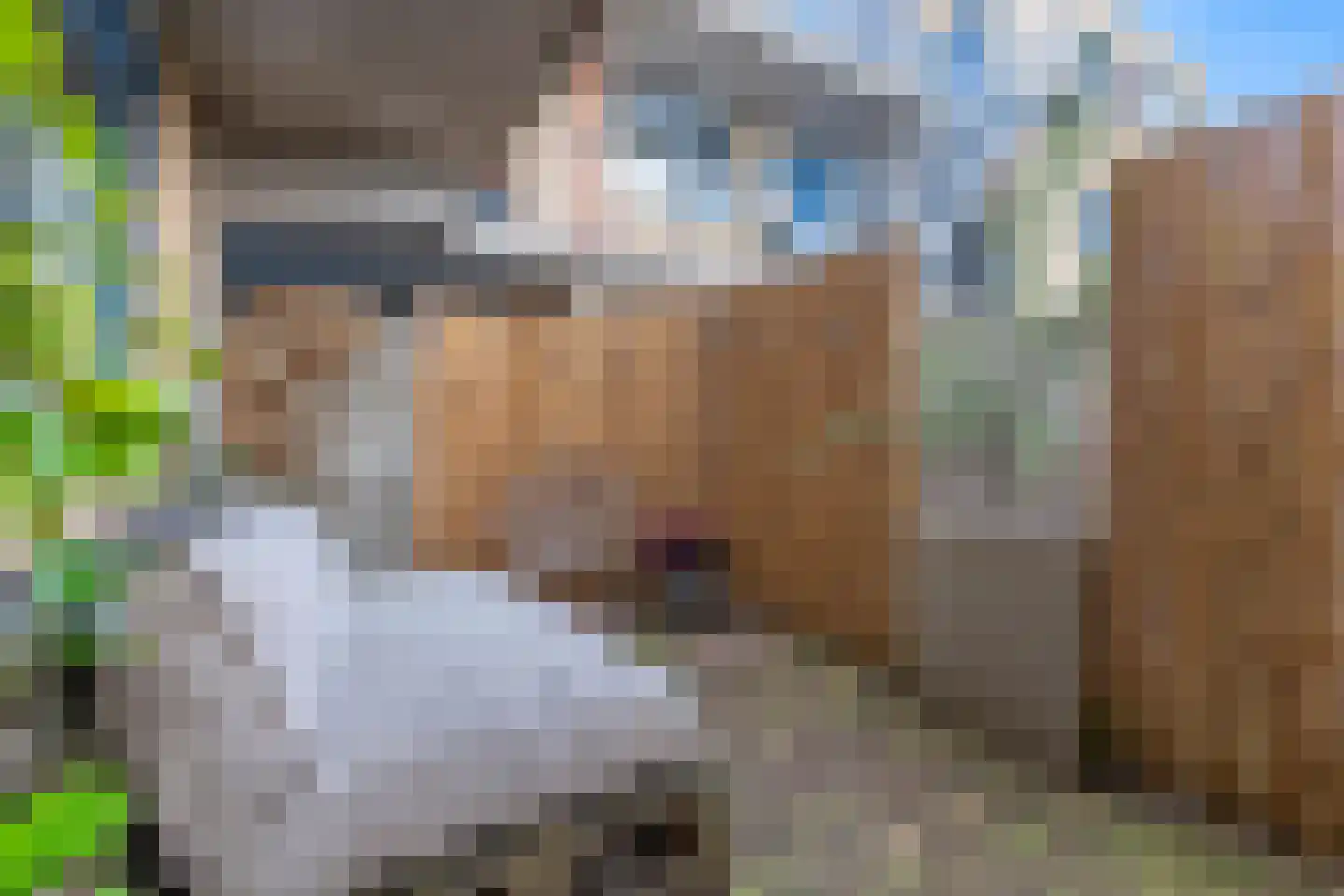 Ereprijs 2 Veenendaal thumbnail 45