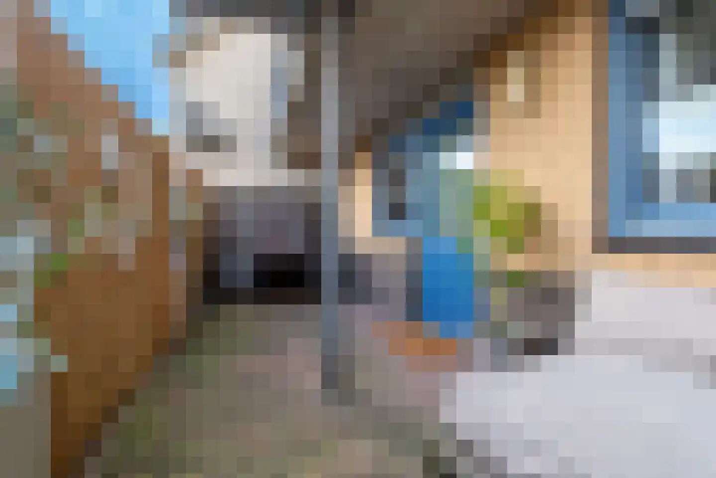 Ereprijs 2 Veenendaal thumbnail 46