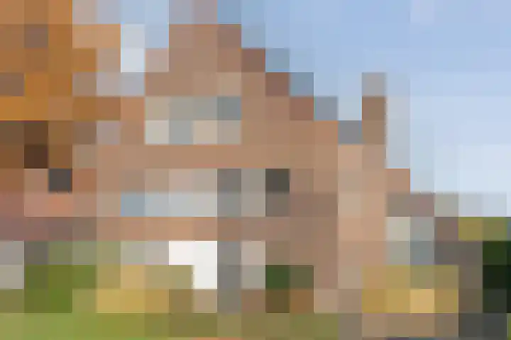 Ereprijs 21 in Meppel