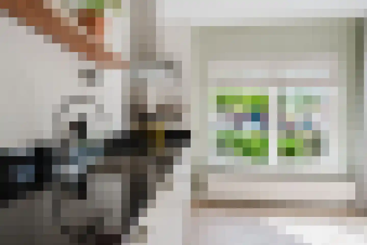 Ereprijs 21 Heerenveen thumbnail 18