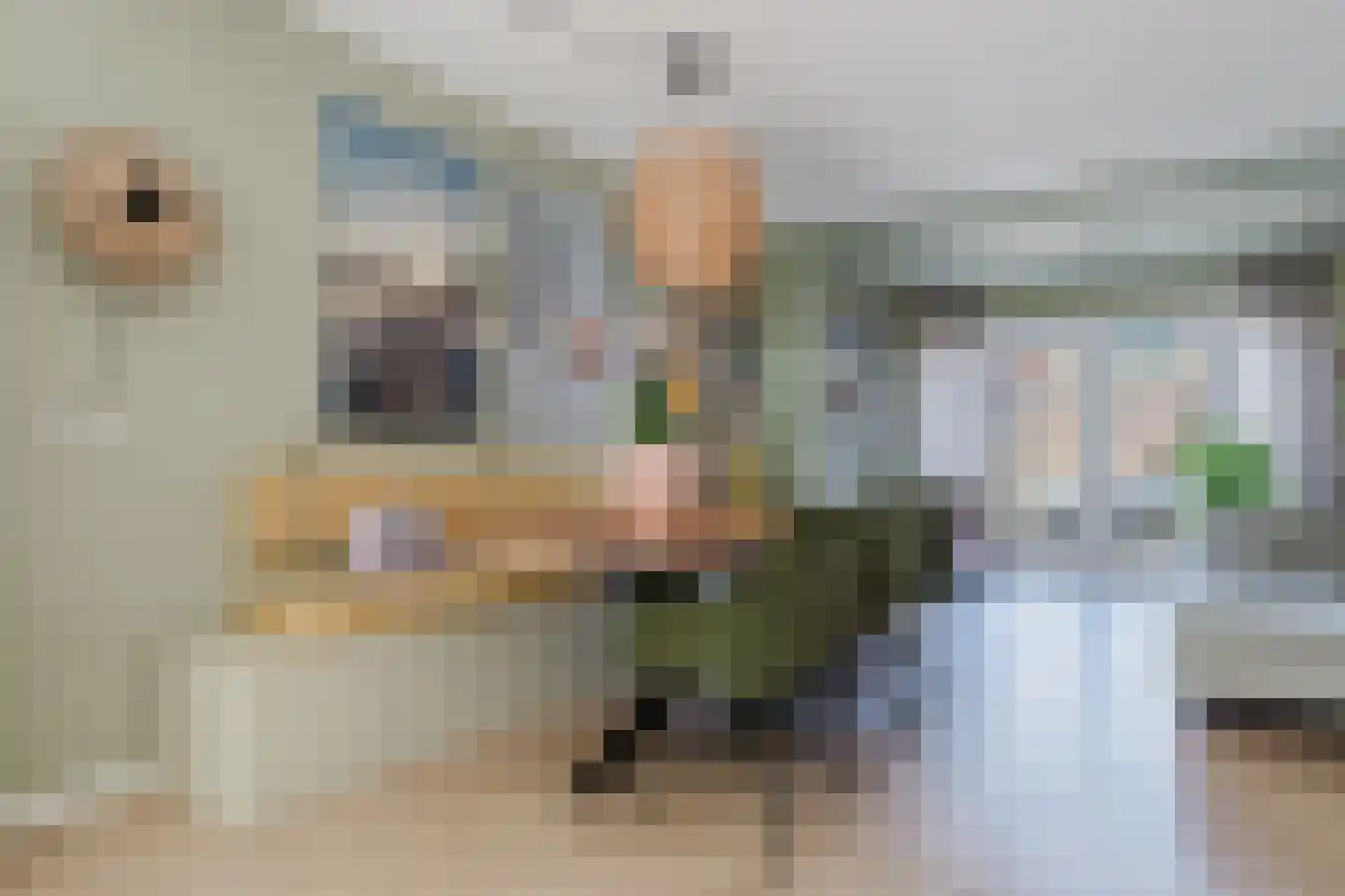 Ereprijs 21 Heerenveen thumbnail 20