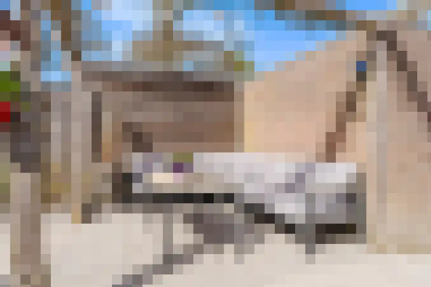 Ereprijs 21 Heerenveen thumbnail 28