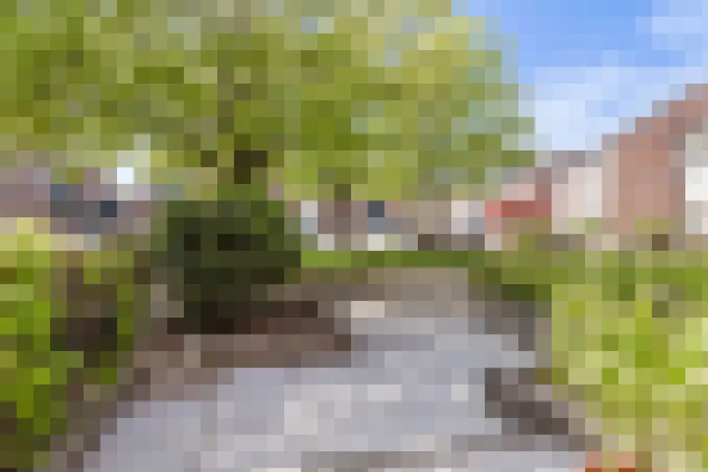Ereprijs 21 Heerenveen thumbnail 8