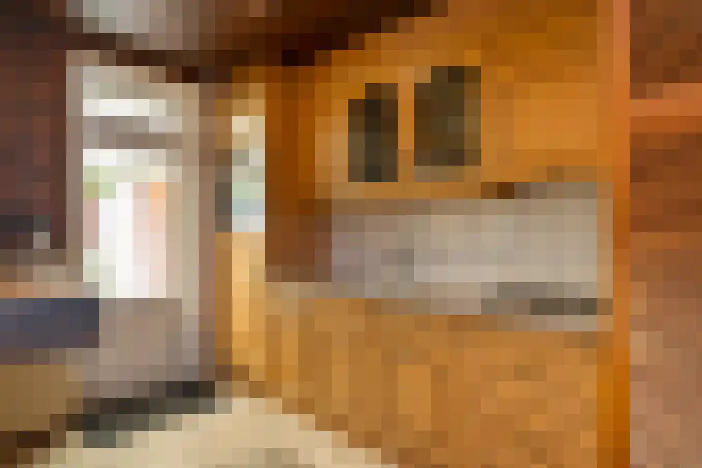 Ereprijs 22 Landgraaf thumbnail 13