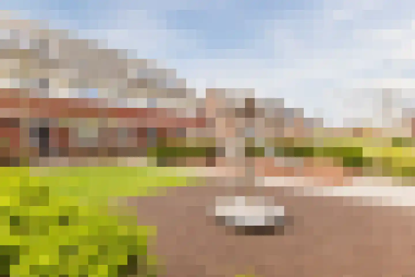 Ereprijs 24 Bodegraven thumbnail 40