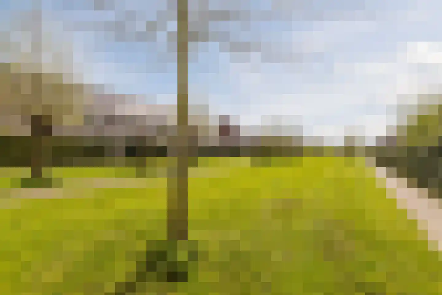 Ereprijs 24 Bodegraven thumbnail 42