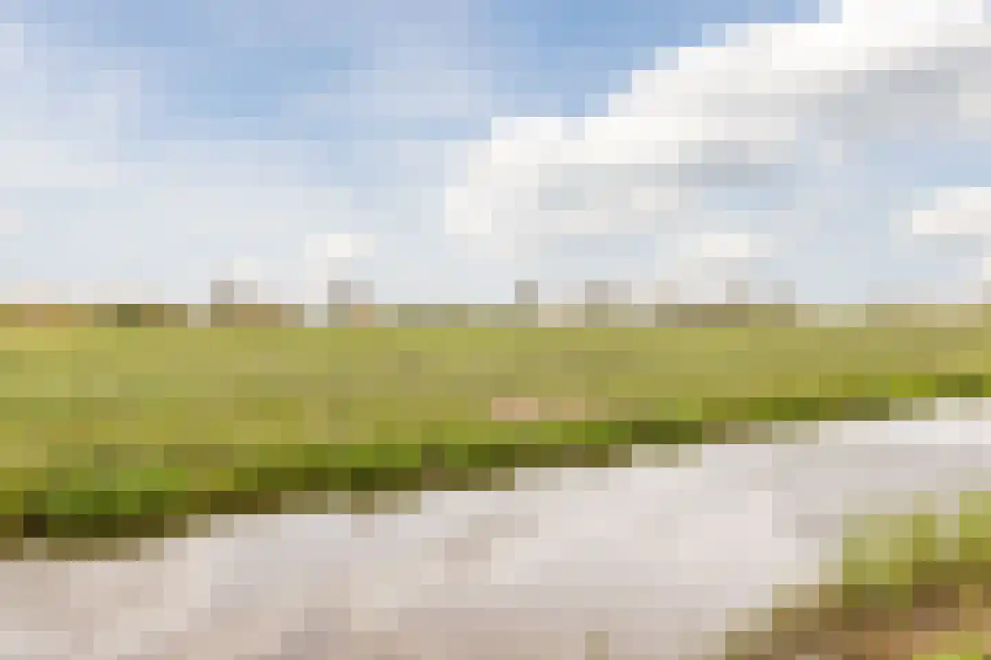 Ereprijs 24 Bodegraven thumbnail 43