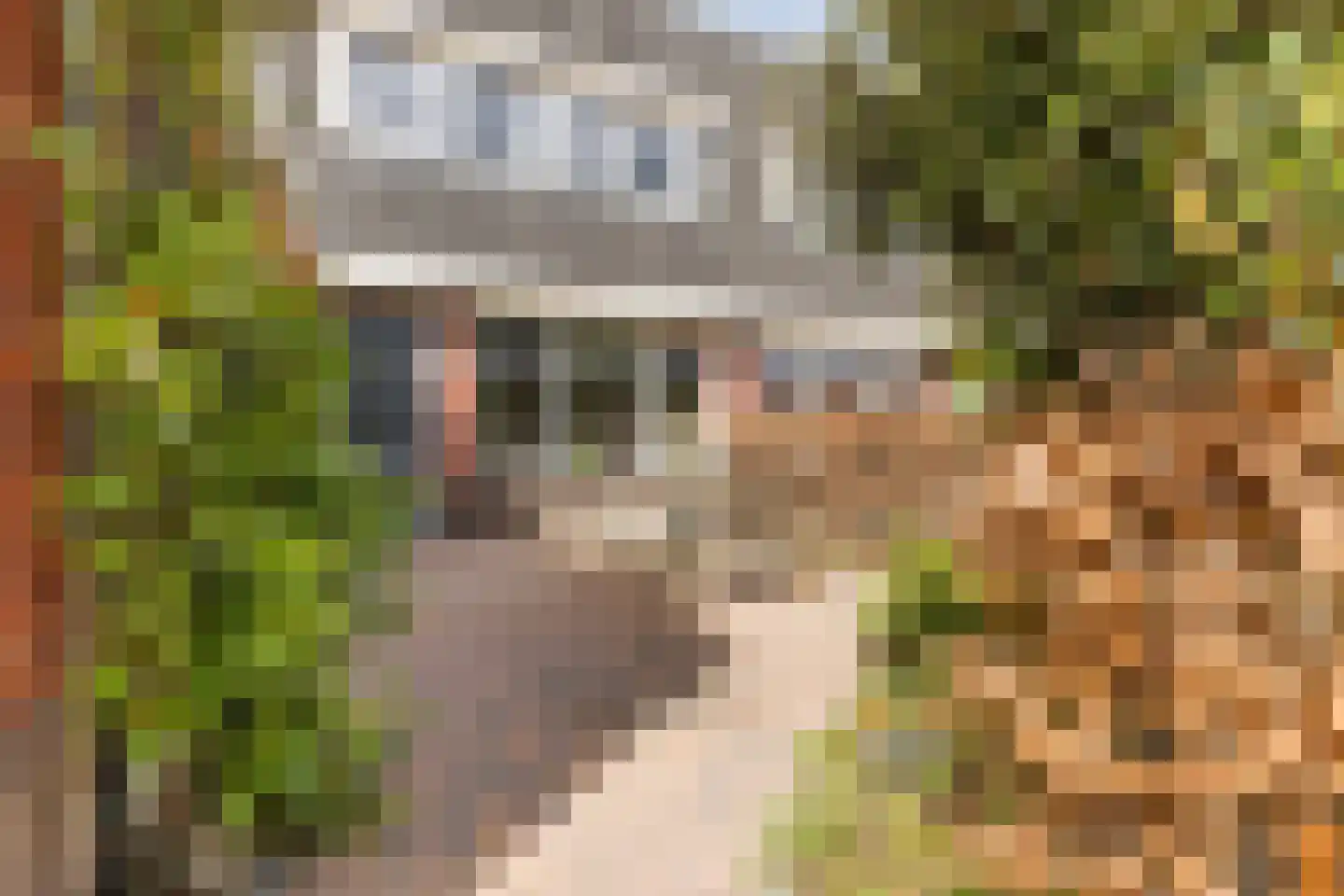 Ereprijs 24 Bodegraven thumbnail 6