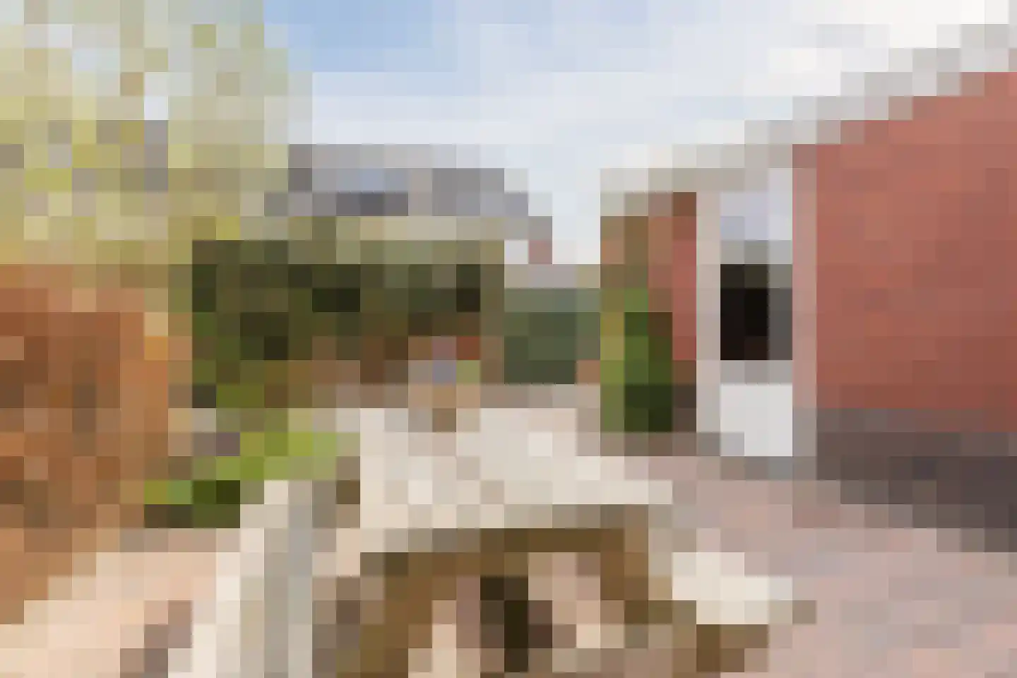 Ereprijs 24 Bodegraven thumbnail 8