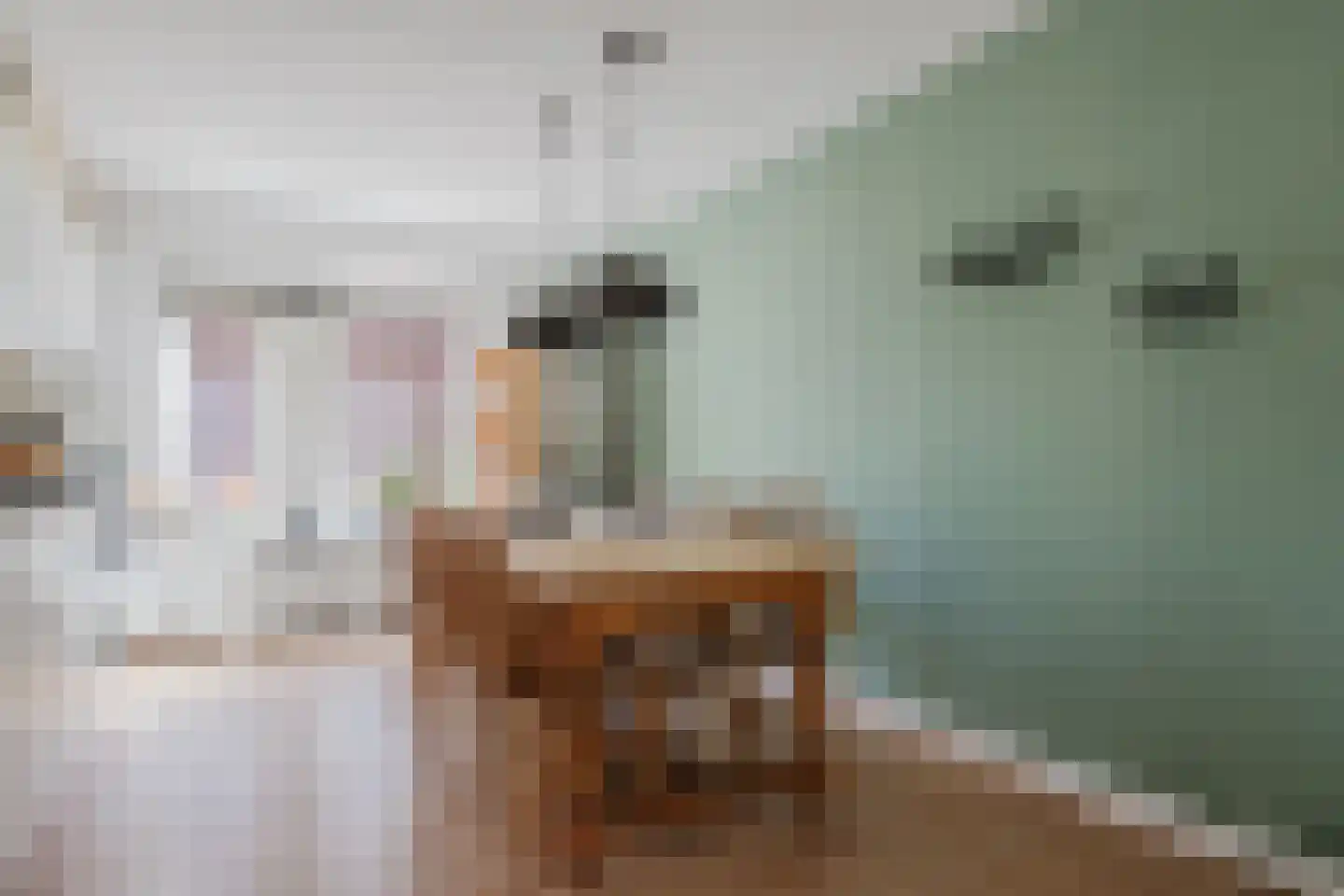 Ereprijs 26 Heerenveen thumbnail 11