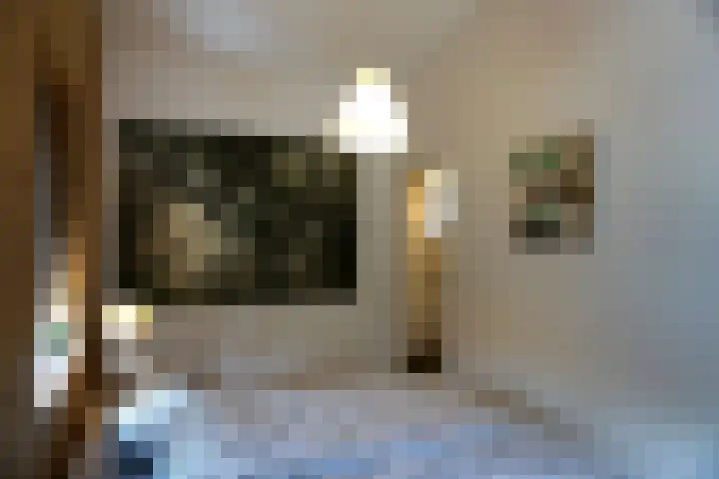 Ereprijs 28 Julianadorp thumbnail 10