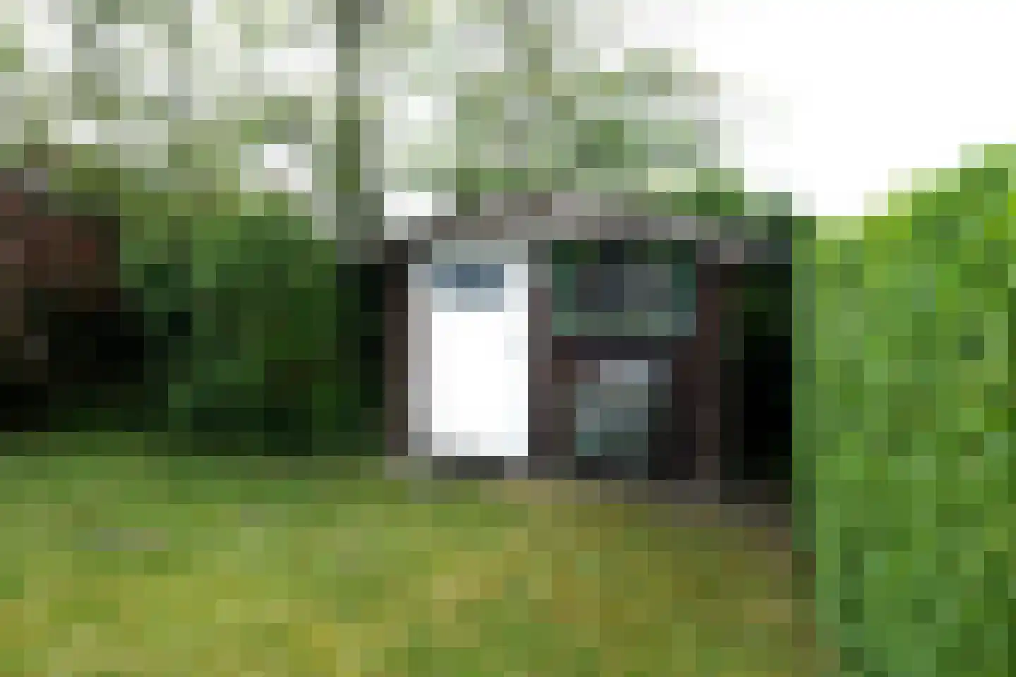 Ereprijs 28 Julianadorp thumbnail 22