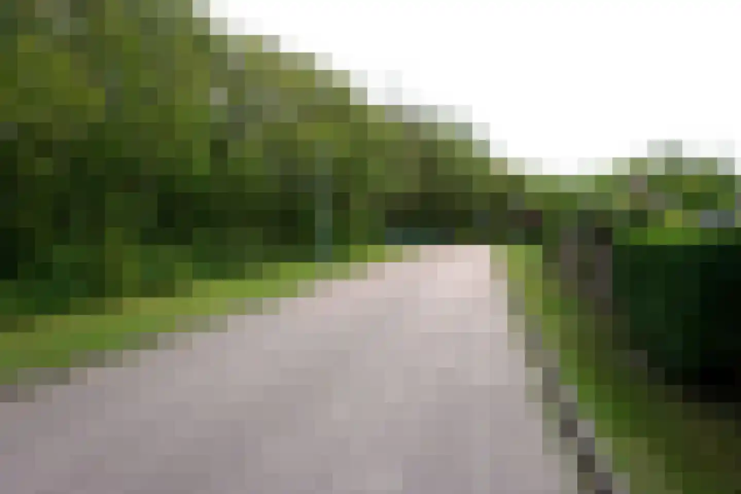 Ereprijs 28 Julianadorp thumbnail 25