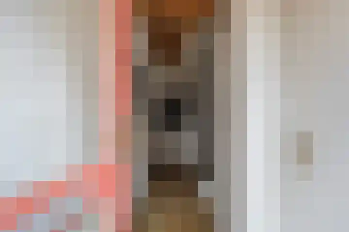 Ereprijs 3 Heerenveen thumbnail 10