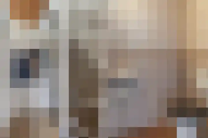 Ereprijs 3 Heerenveen thumbnail 11