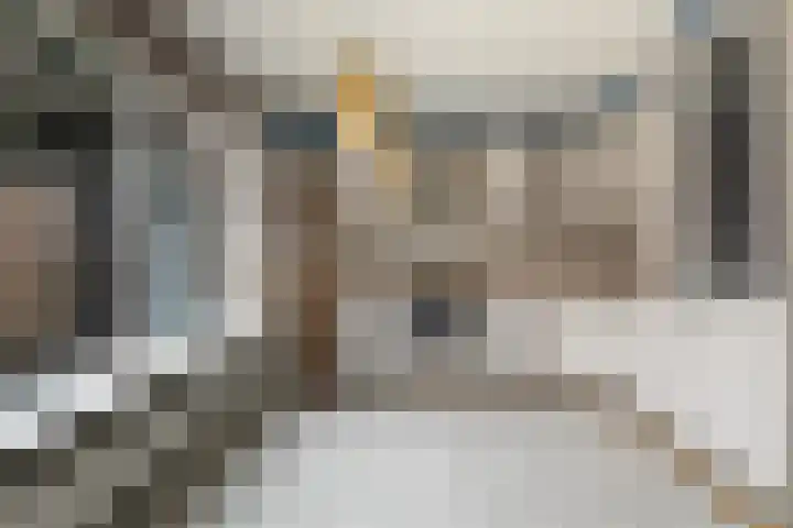 Ereprijs 3 Heerenveen thumbnail 17