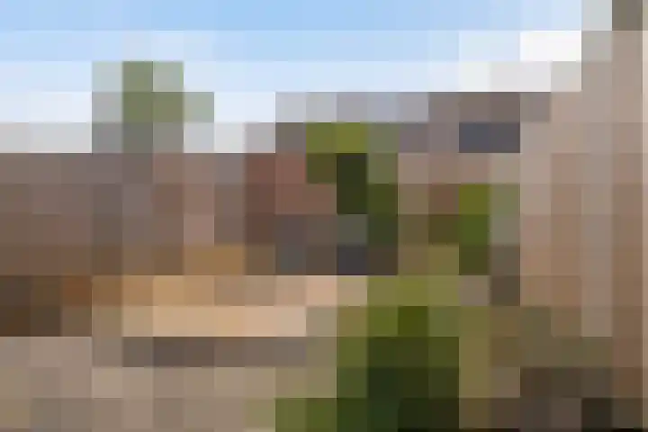 Ereprijs 3 Heerenveen thumbnail 20