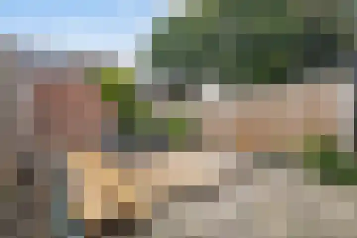 Ereprijs 3 Heerenveen thumbnail 21