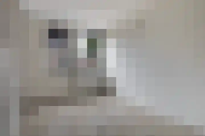 Ereprijs 3 Heerenveen thumbnail 28