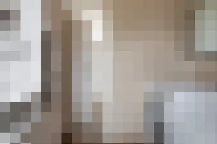 Ereprijs 3 Heerenveen thumbnail 31