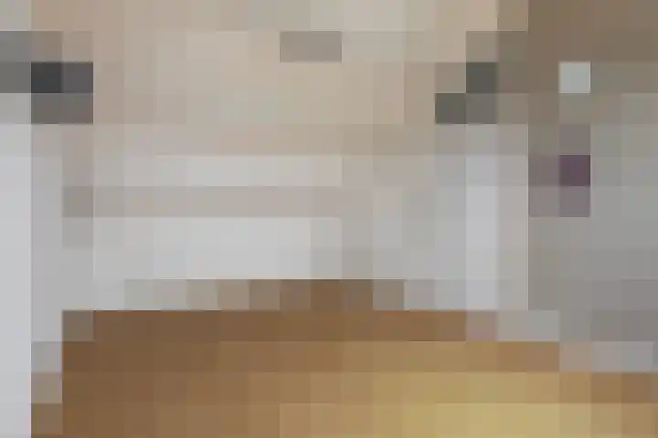 Ereprijs 3 Heerenveen thumbnail 35
