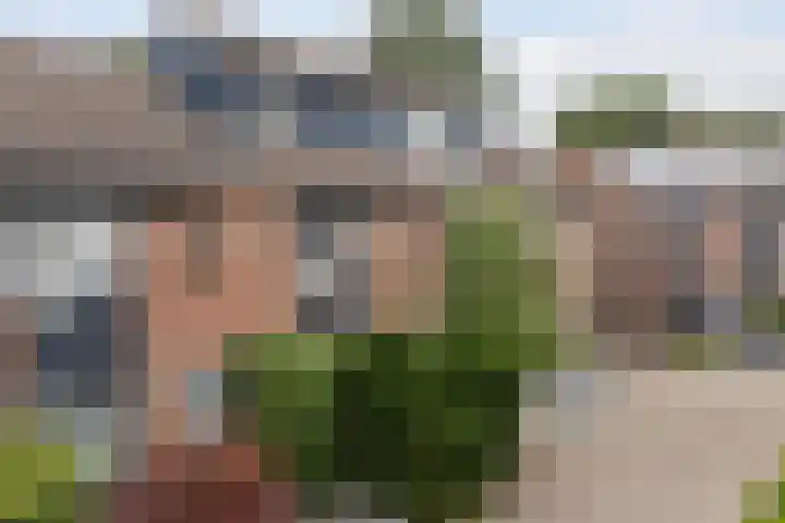 Ereprijs 3 Heerenveen thumbnail 36