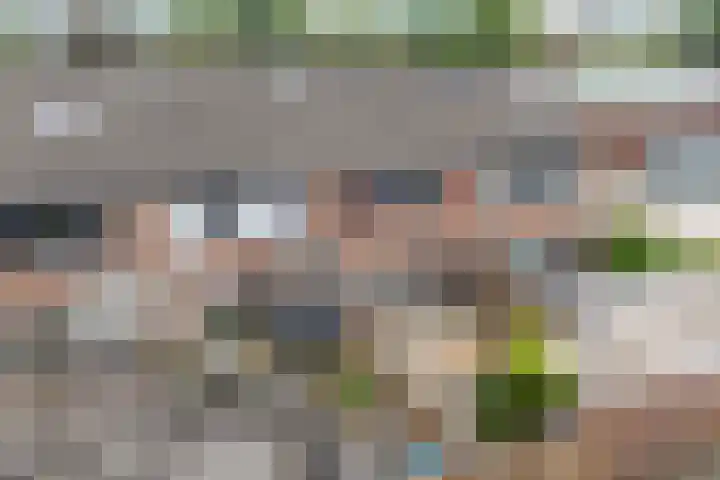 Ereprijs 3 Heerenveen thumbnail 37