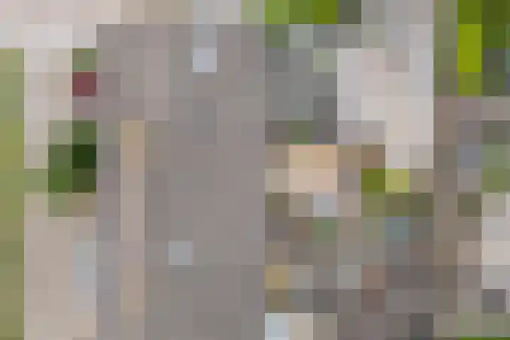 Ereprijs 3 Heerenveen thumbnail 39