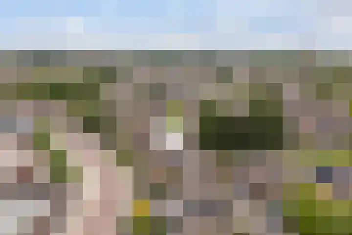 Ereprijs 3 Heerenveen thumbnail 4