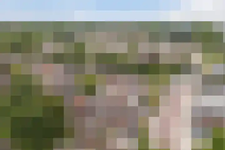 Ereprijs 3 Heerenveen thumbnail 40