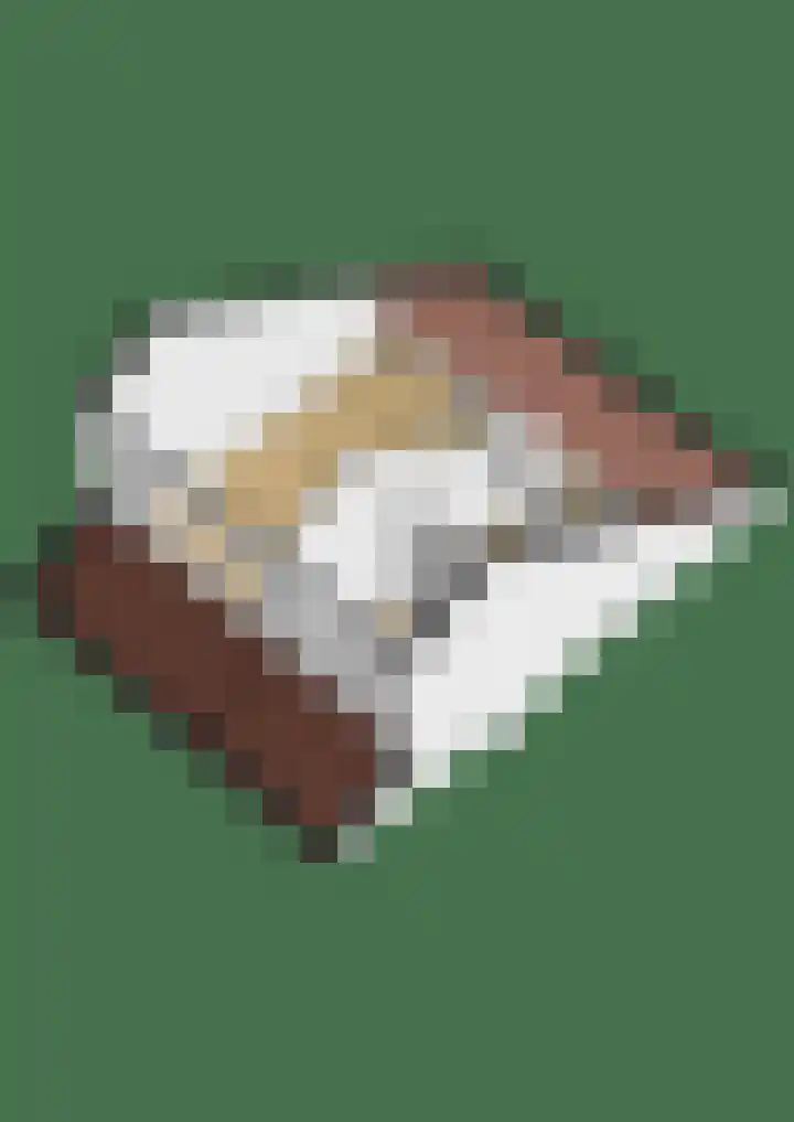 Ereprijs 3 Heerenveen thumbnail 47