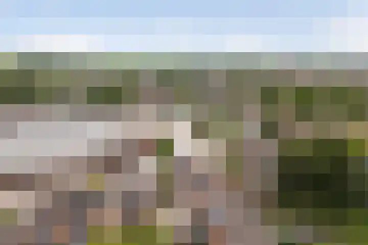 Ereprijs 3 Heerenveen thumbnail 5