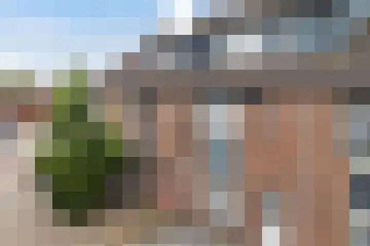 Ereprijs 3 Heerenveen thumbnail 50