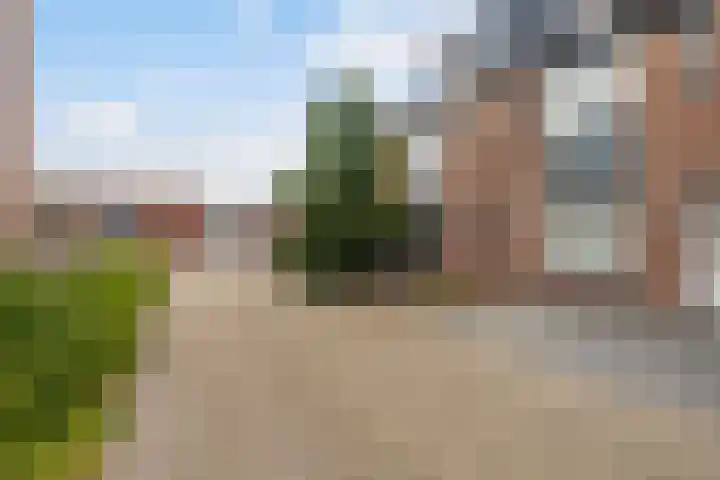Ereprijs 3 Heerenveen thumbnail 6