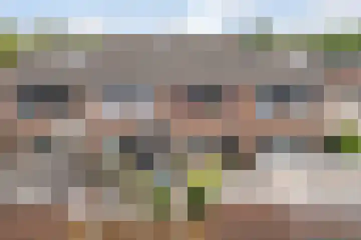 Ereprijs 3 Heerenveen thumbnail 7