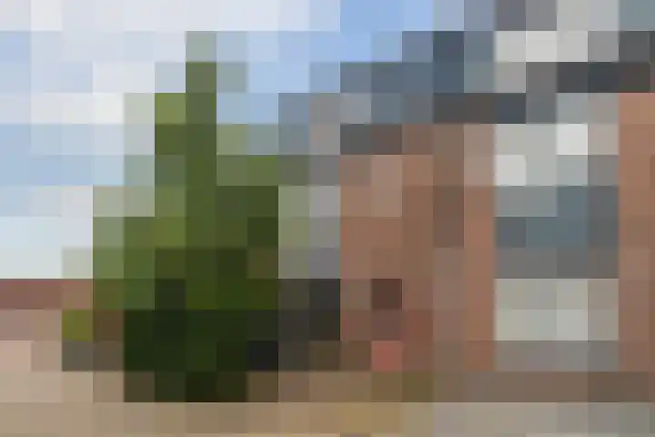 Ereprijs 3 Heerenveen thumbnail 8