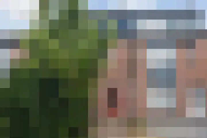 Ereprijs 3 Heerenveen thumbnail 9