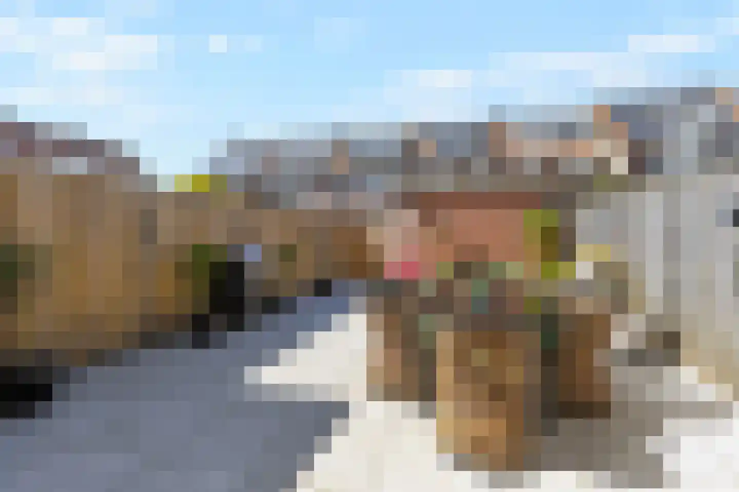 Ereprijs 3 Nootdorp thumbnail 11