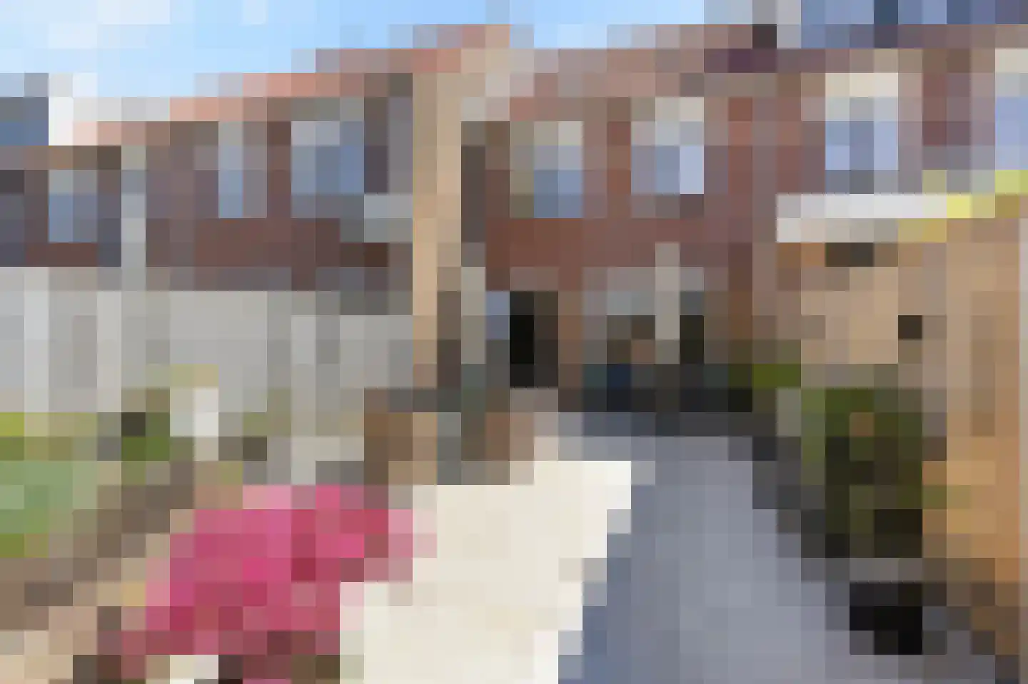 Ereprijs 3 Nootdorp thumbnail 13
