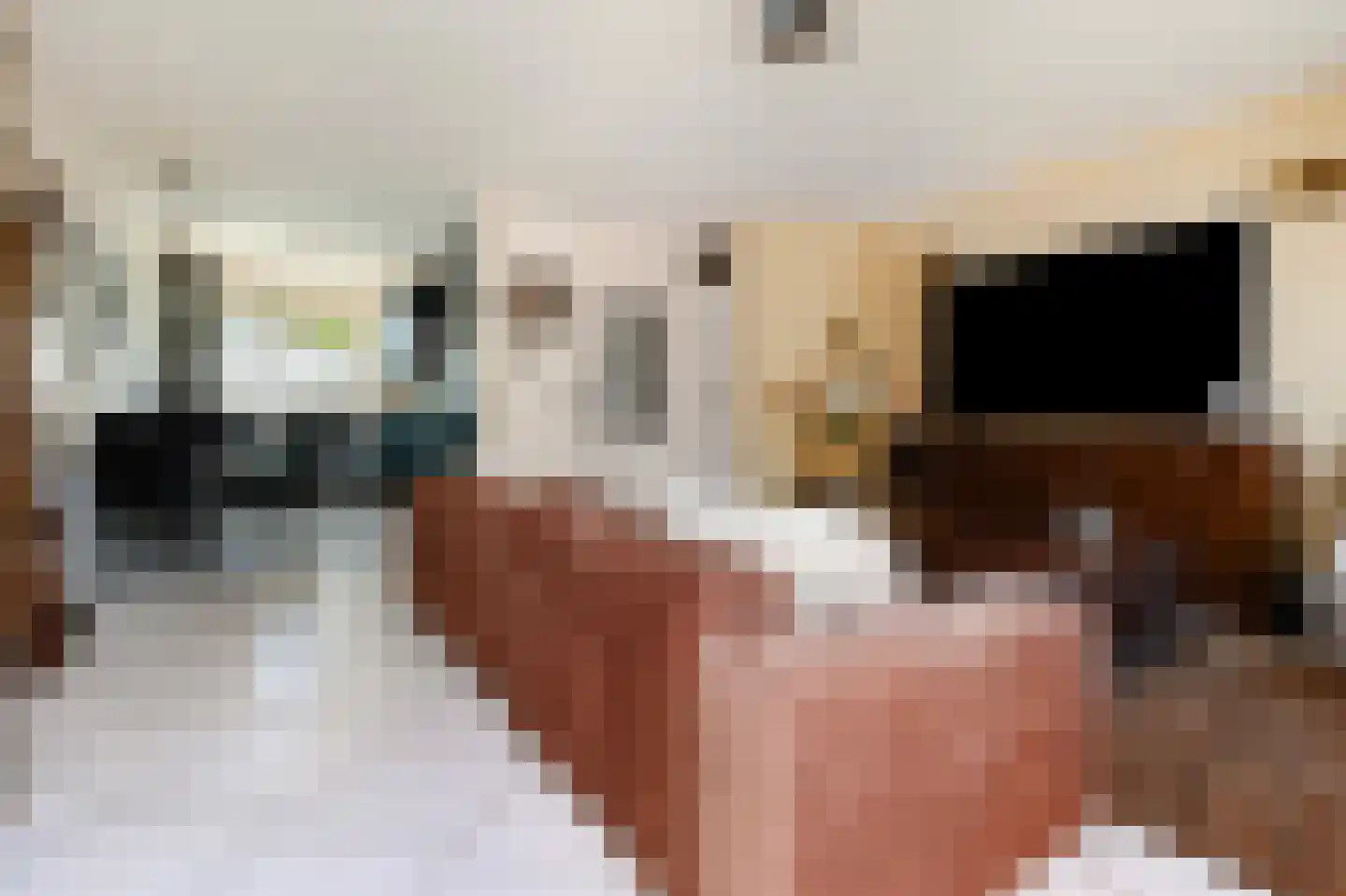 Ereprijs 3 Nootdorp thumbnail 15