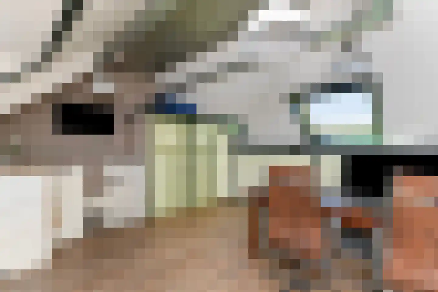 Ereprijs 3 Nootdorp thumbnail 26