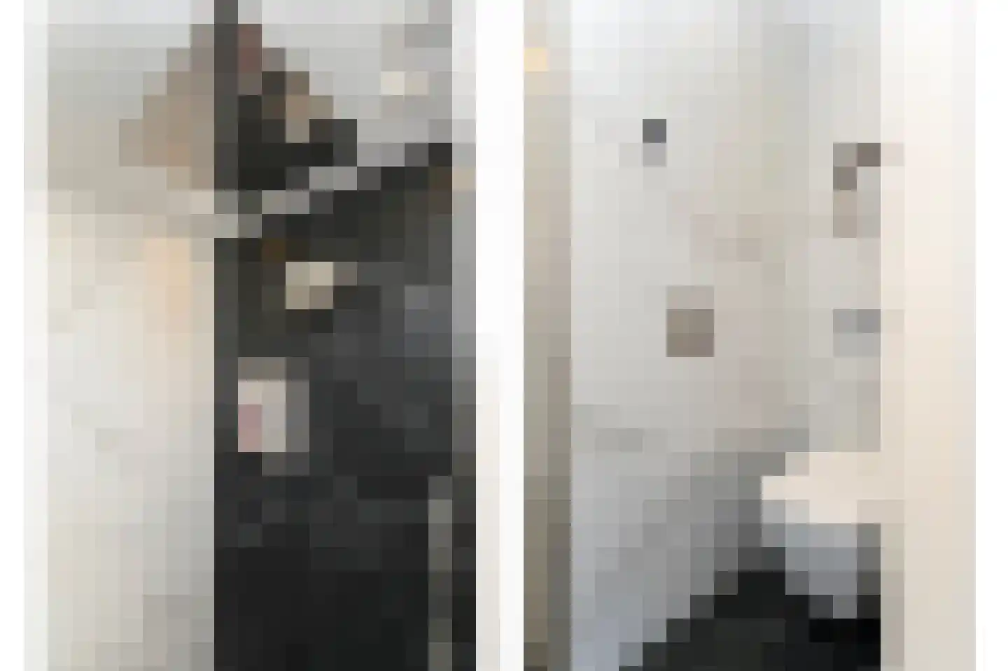 Ereprijs 3 Nootdorp thumbnail 4