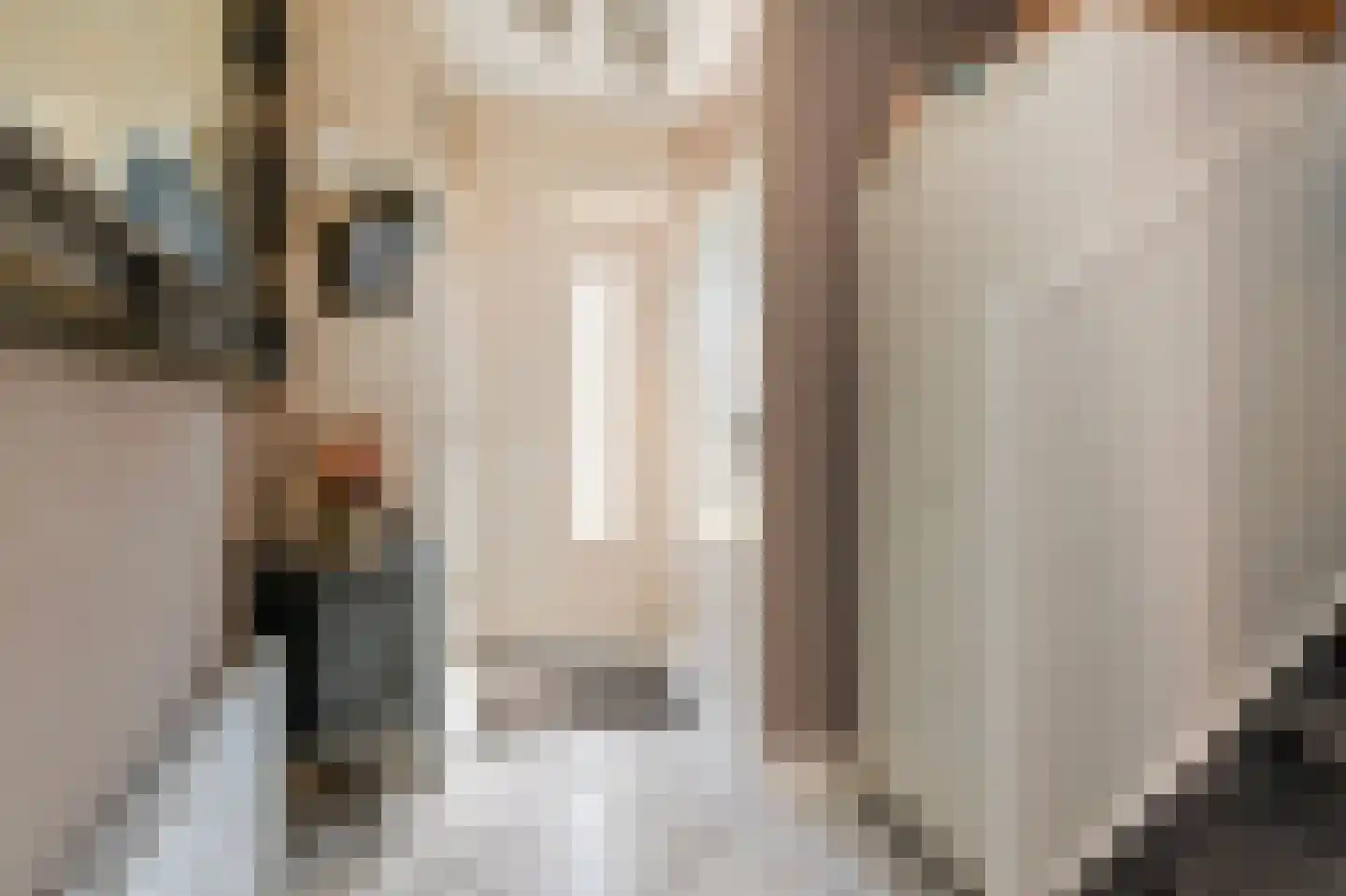 Ereprijs 3 Nootdorp thumbnail 8