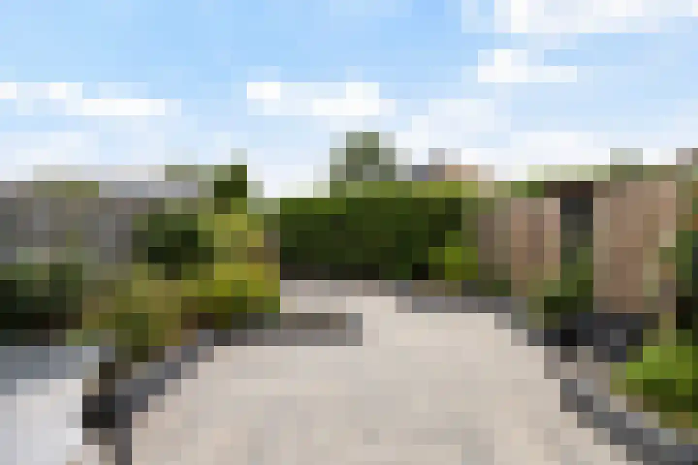 Ereprijs 31 Leeuwarden thumbnail 18