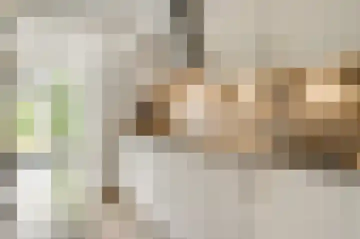 Ereprijs 32 Herkenbosch thumbnail 10