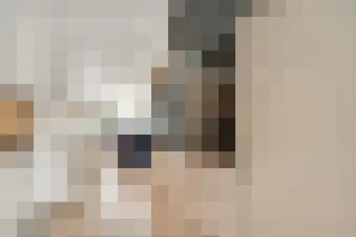 Ereprijs 32 Herkenbosch thumbnail 11