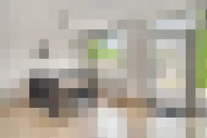 Ereprijs 32 Herkenbosch thumbnail 12