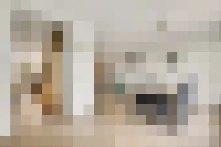 Ereprijs 32 Herkenbosch thumbnail 13